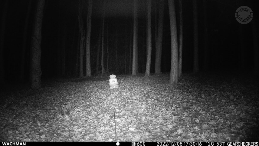 Nočný prísvit v režime AUTO, rýchlosť uzávierky 1/30 s, vzdialenosť objektu od fotopasce: 10 m.