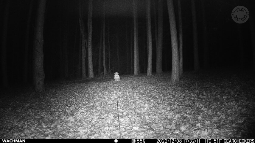 Nočný prísvit v režime AUTO, rýchlosť uzávierky 1/30 s, vzdialenosť objektu od fotopasce: 15 m.