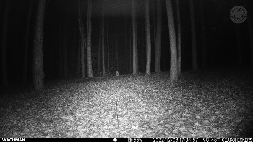 Nočný prísvit v režime AUTO, rýchlosť uzávierky 1/30 s, vzdialenosť objektu od fotopasce: 25 m.