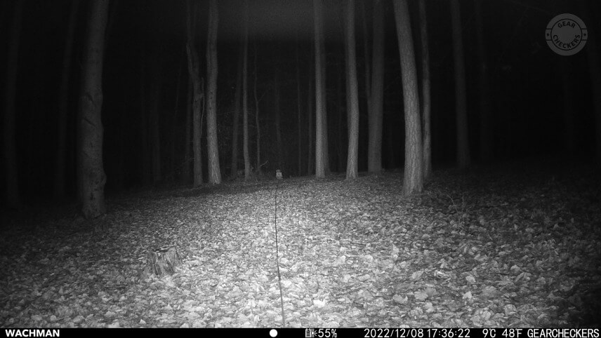 Nočný prísvit v režime AUTO, rýchlosť uzávierky 1/30 s, vzdialenosť objektu od fotopasce: 30 m.