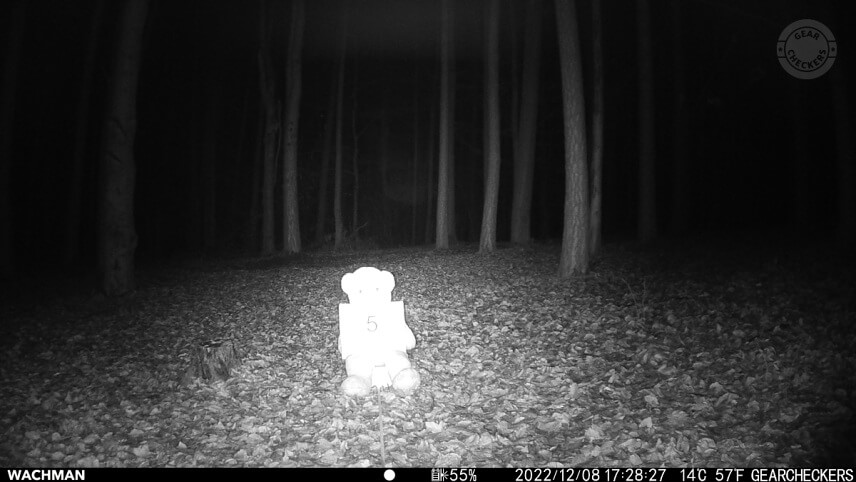 Nočný prísvit v režime AUTO, rýchlosť uzávierky 1/30 s, vzdialenosť objektu od fotopasce: 5 m.