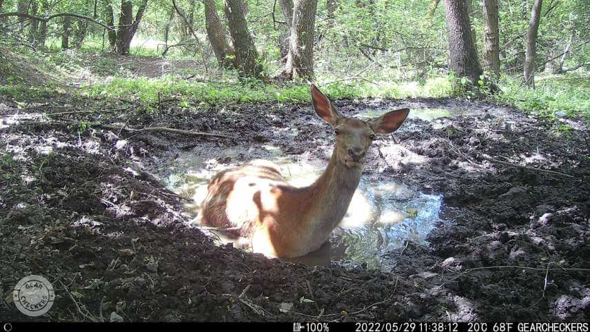 Na denných záberoch nájdete veľké množstvo detailov