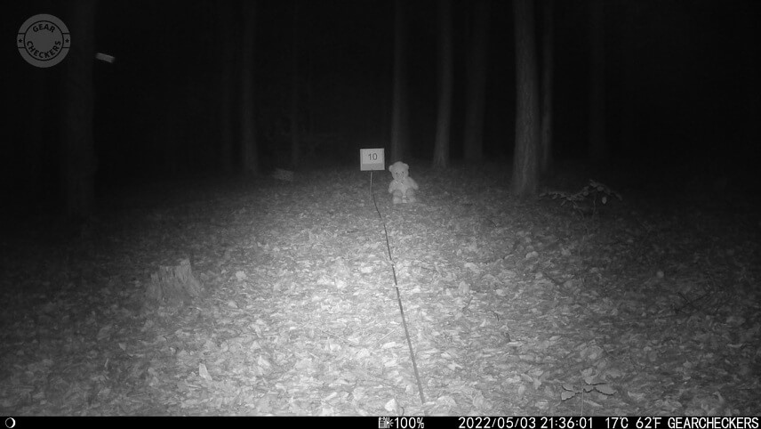 Vzdialenosť objektu od fotopasce: 10 m. Nočný prísvit v režime AUTO.