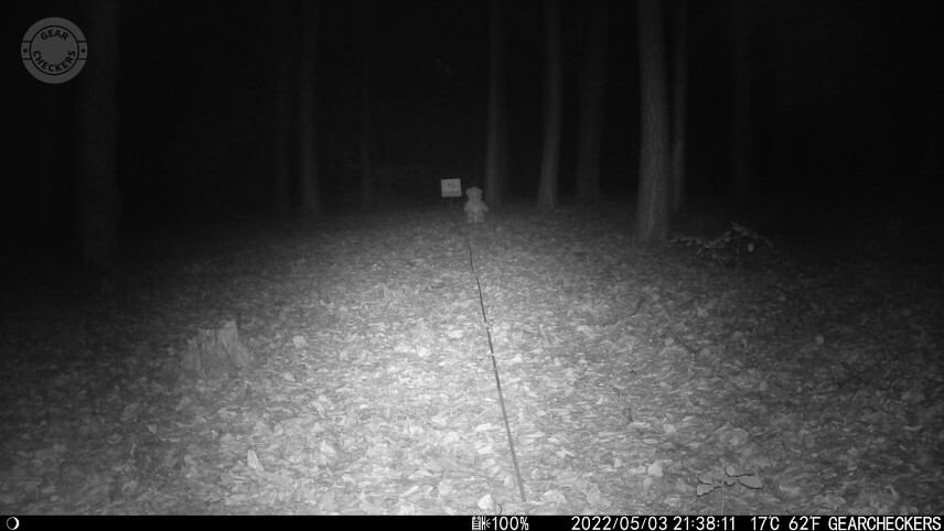 Vzdialenosť objektu od fotopasce: 15 m. Nočný prísvit v režime AUTO.