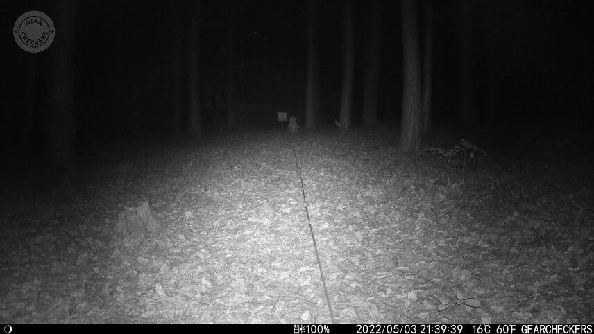 Vzdialenosť objektu od fotopasce: 20 m. Nočný prísvit v režime AUTO.