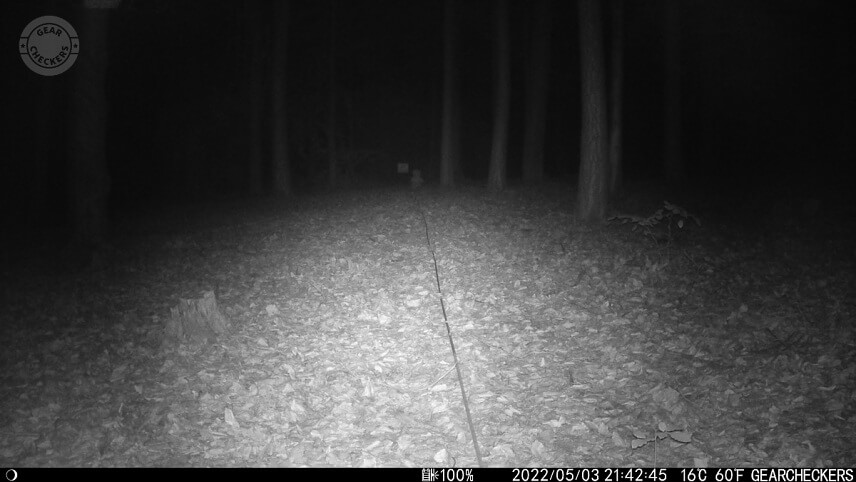 Vzdialenosť objektu od fotopasce: 25 m. Nočný prísvit v režime AUTO.