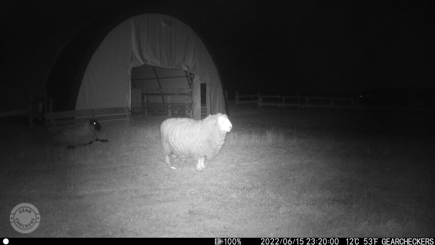 Aj nočné fotky sú ostré