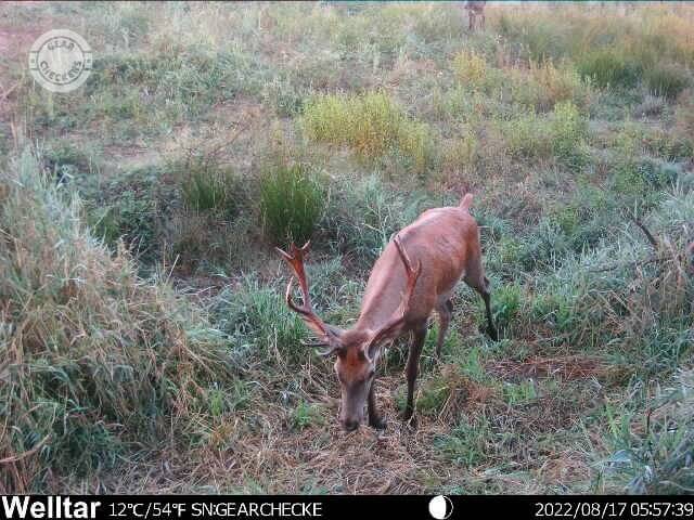 Denný záber v strednom rozlíšení.