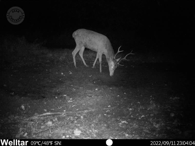 Nočný záber v strednom rozlíšení.