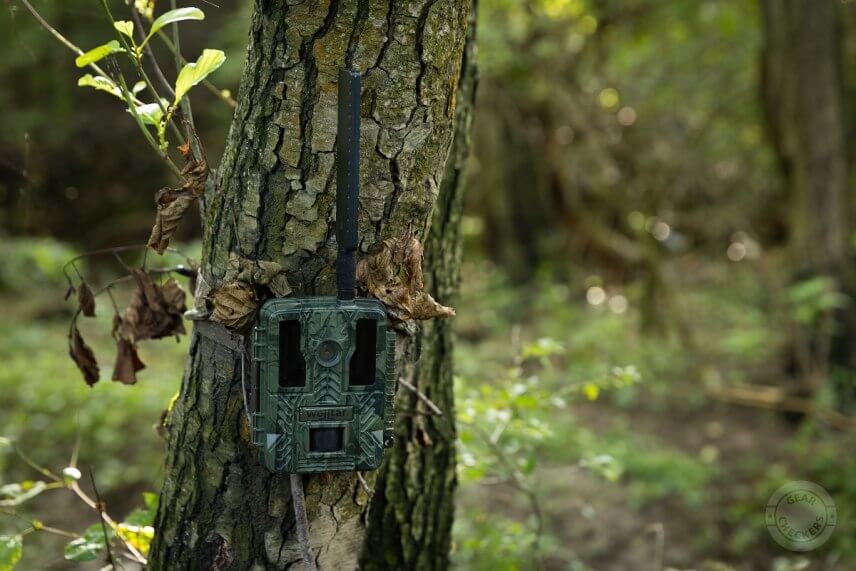 Vďaka maskovaciemu vzoru tmavozelenej farby splýva Welltar 7310 4G dobre v každom prostredí.