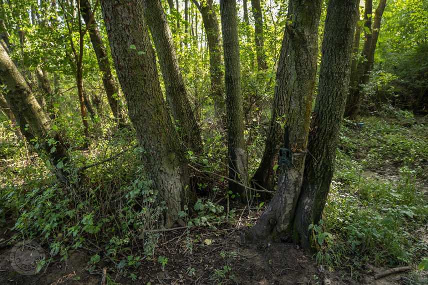 Welltar 7310 4G v reálnych podmienkach.