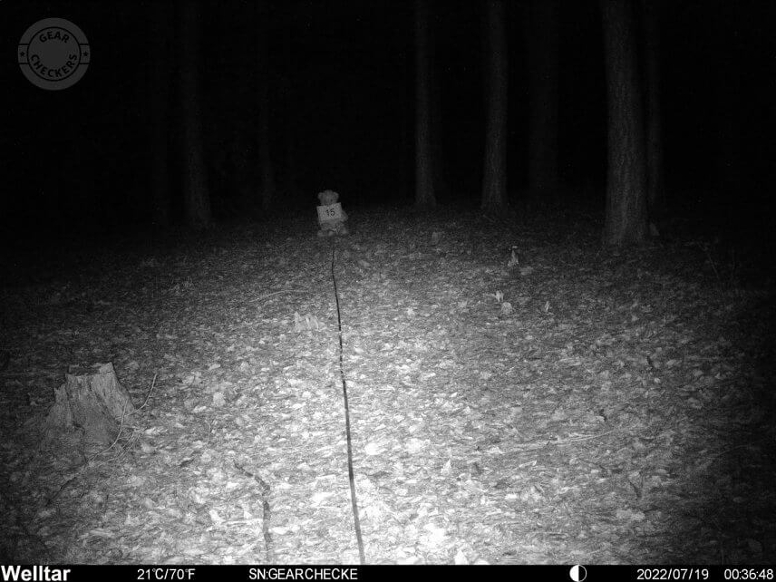 Vzdialenosť objektu od fotopasce: 15 m.