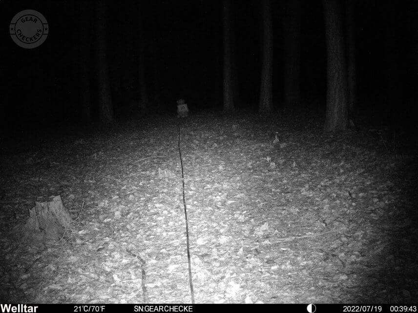 Vzdialenosť objektu od fotopasce: 20 m.