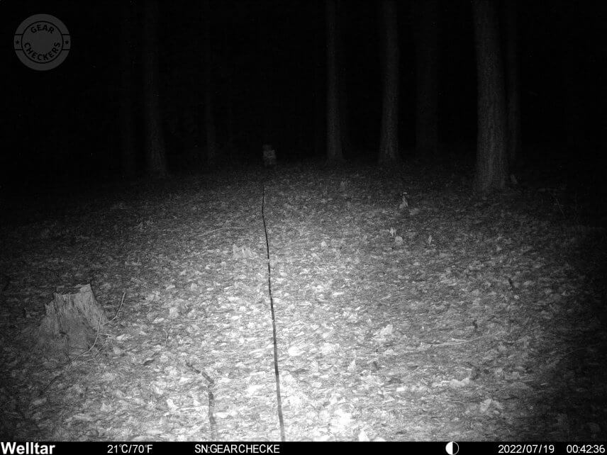 Vzdialenosť objektu od fotopasce: 25 m.