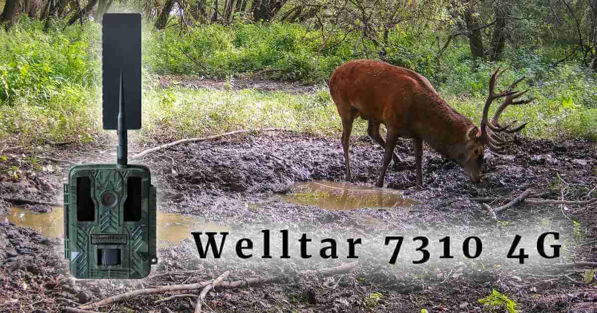 Recenzia Welltar 7310 4G - MMS fotopasca s dlhou výdržou