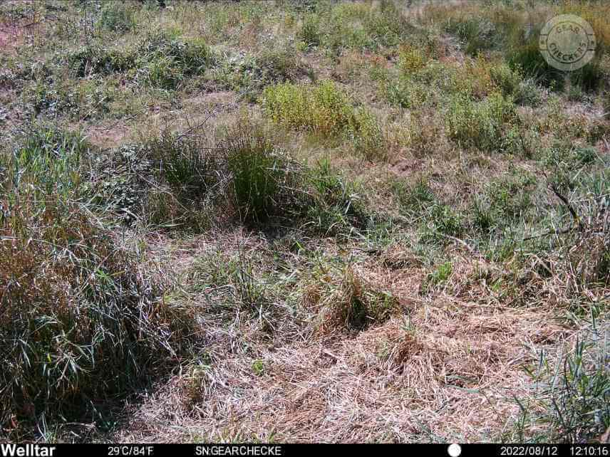 Ukážka podmienok, v ktorých vznikali falošné poplachy (plané spustenia).