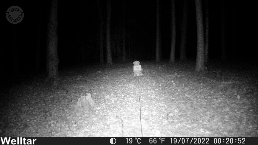 Vzdialenosť objektu od fotopasce: 10 m.