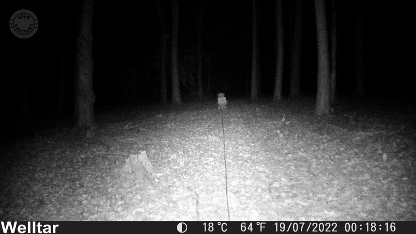 Vzdialenosť objektu od fotopasce: 15 m.