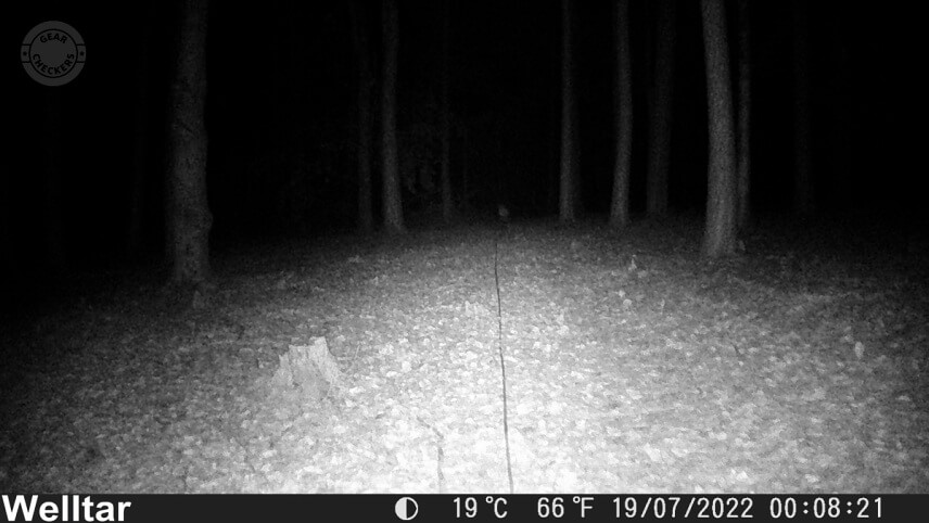 Vzdialenosť objektu od fotopasce: 30 m.