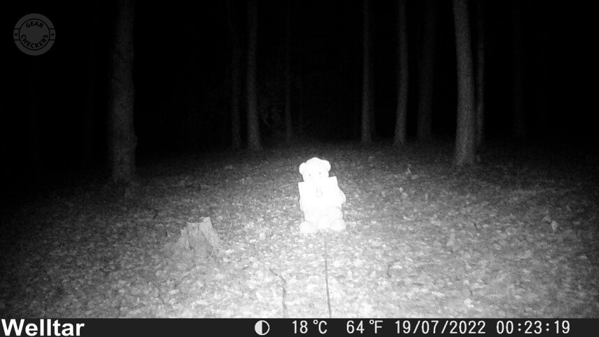 Vzdialenosť objektu od fotopasce: 5 m.