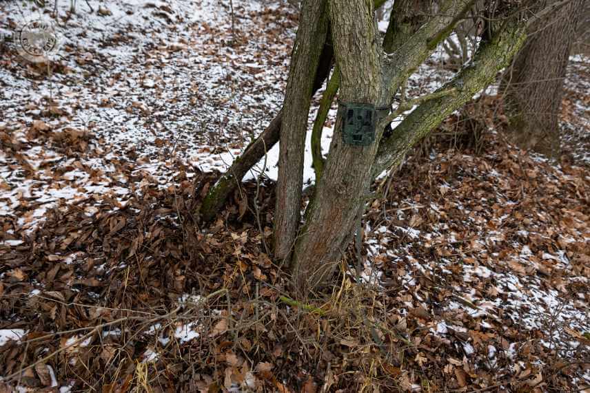 Fotopasca Welltar 7310.