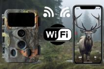 Najčastejšie otázky o WiFi fotopasciach