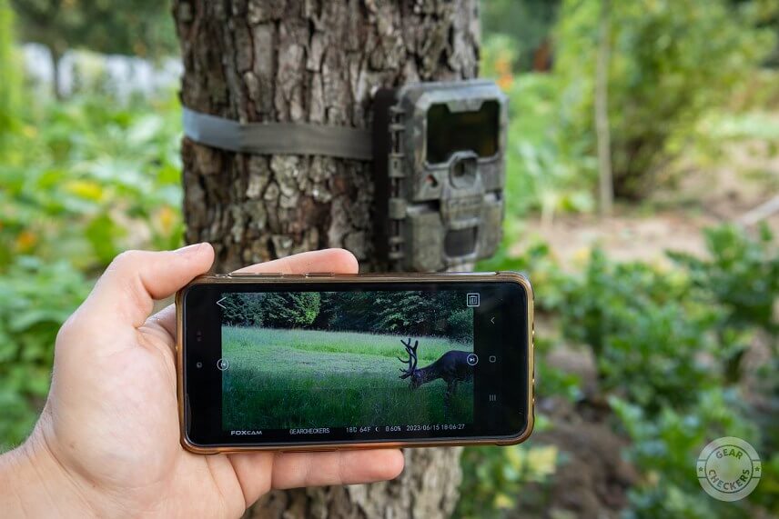 Smartfón pripojený na fotopascu pomocou WiFi.