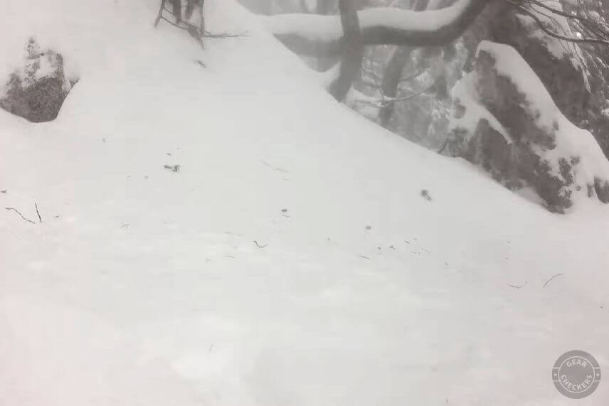 Vietor niekedy f&uacute;kal tak silno, že rozk&yacute;val cel&yacute; strom, na ktorom bola fotopasca osaden&aacute;, č&iacute;m ju spustil.