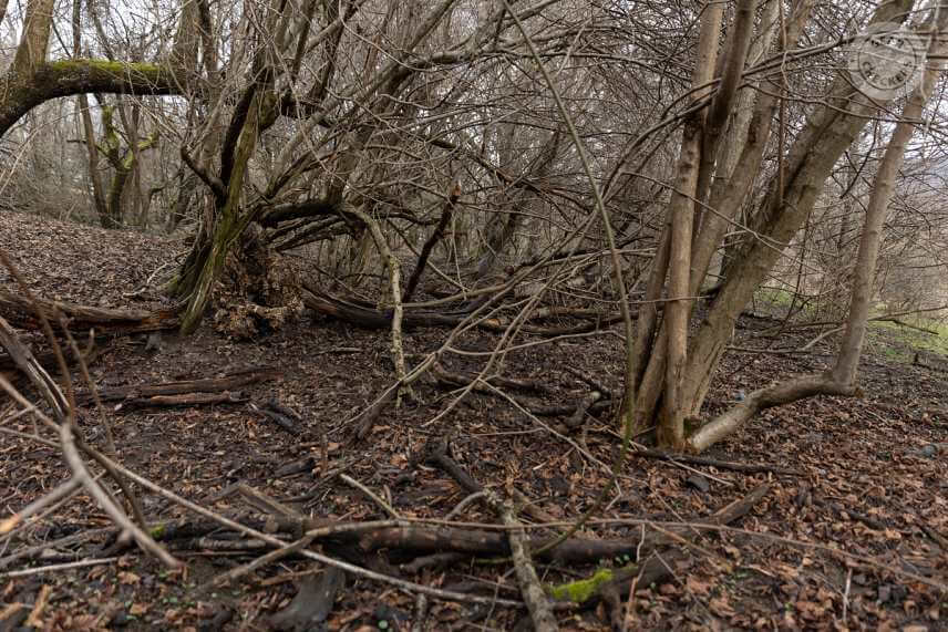 Maskovací oblek Deerhunter. Pohľad z cca 15 m.