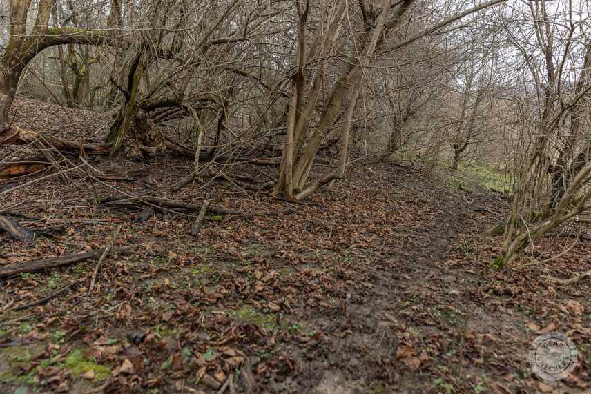 Maskovací oblek Deerhunter. Pohľad z cca 25 m.