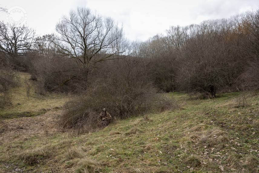 Maskovací oblek Deerhunter. Pohľad z cca 30 m.
