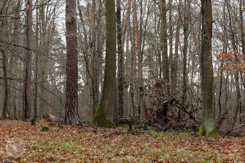 Maskovací oblek MFH leaves Hunter-Brown