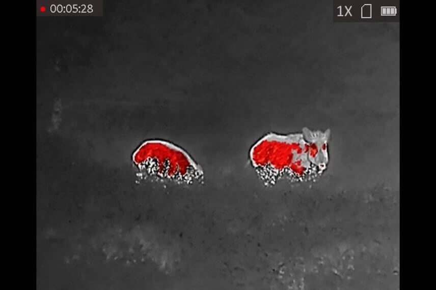 Termov&iacute;zia zachyt&aacute;va teplo a podľa neho vytv&aacute;ra digit&aacute;lny obraz. Vďaka tomu dobre uvid&iacute;te tepl&eacute; objekty ako zvierat&aacute; alebo ľud&iacute; v okol&iacute;.